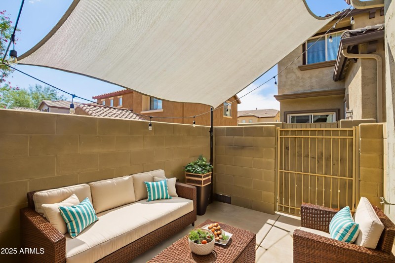 28-Cat-Balue - Outdoor - Standard - 32