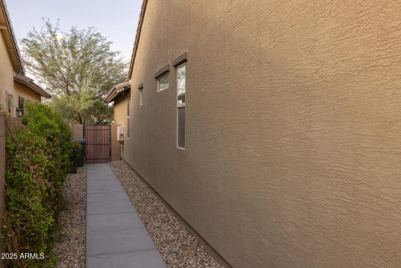 36)BACKYARD