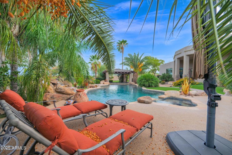 Lush desert-tropical mix