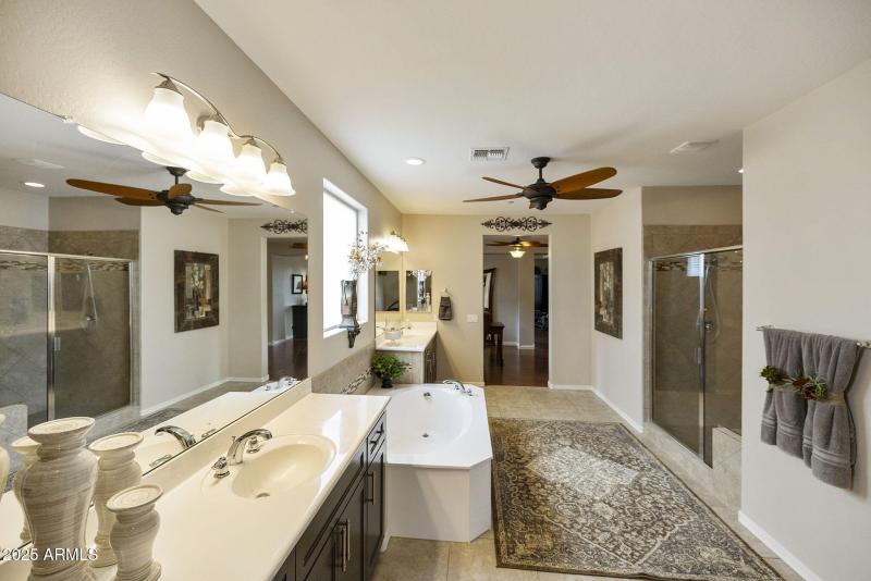 Owner's Bathroom