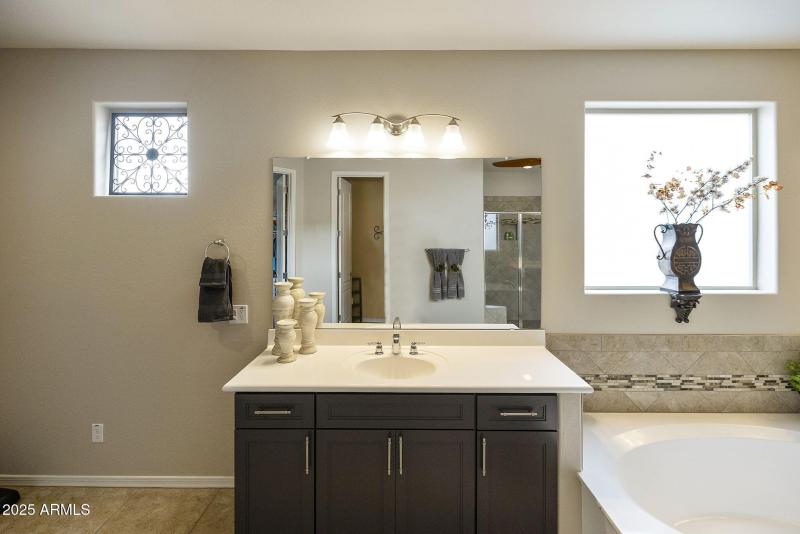 Owner's Bathroom