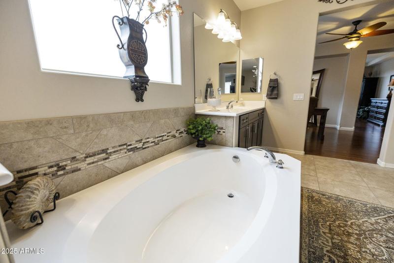 Owner's Bathroom