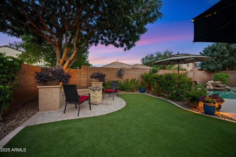 Low maintenance turf