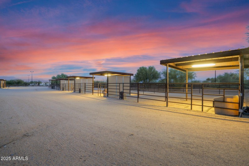 9 Back large covered paddocks