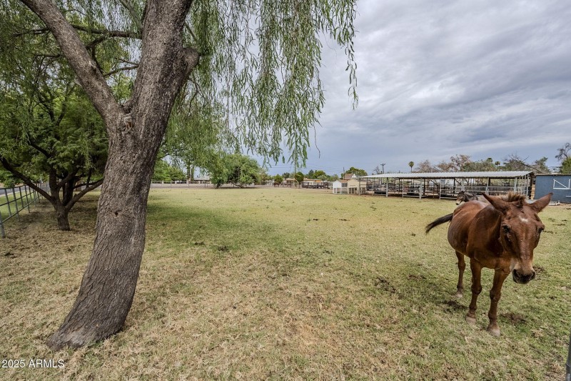 64-web-or-mls-Lockwood-52