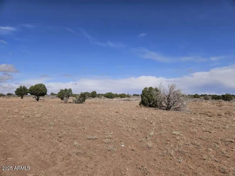 Resized_20250404_100540