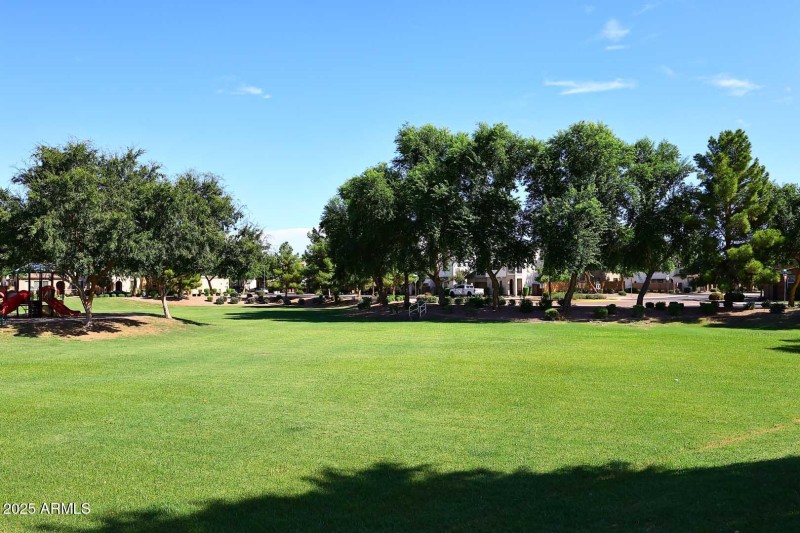 Community Park2