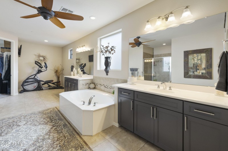 Owner's Bathroom