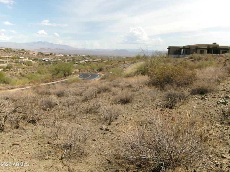 Landscape lot 224 (2)