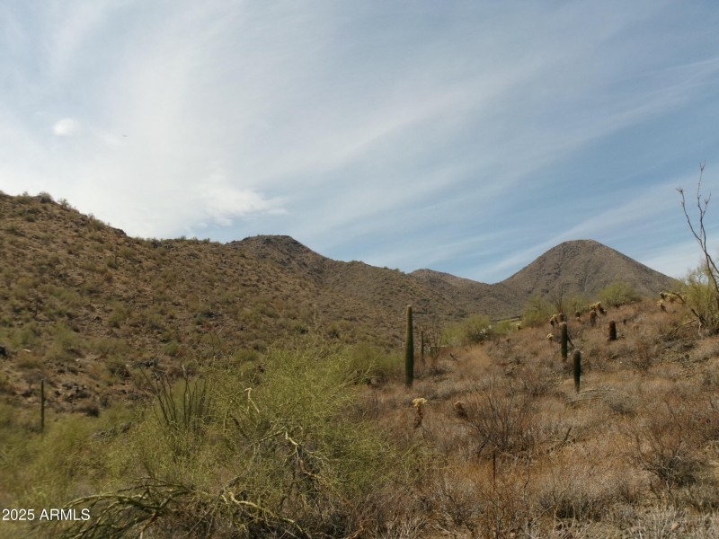 McDowell Mountains (1)