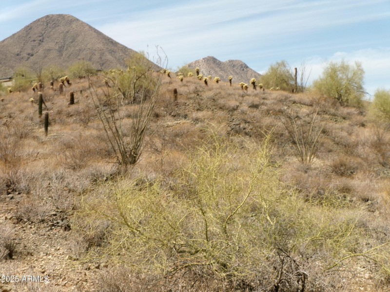 McDowell Mountains (2)
