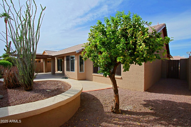 Backyard 2