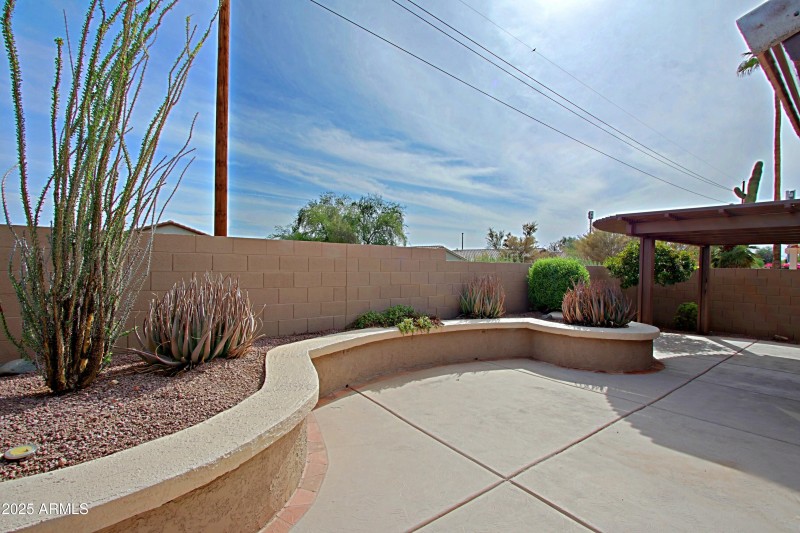 Backyard 3