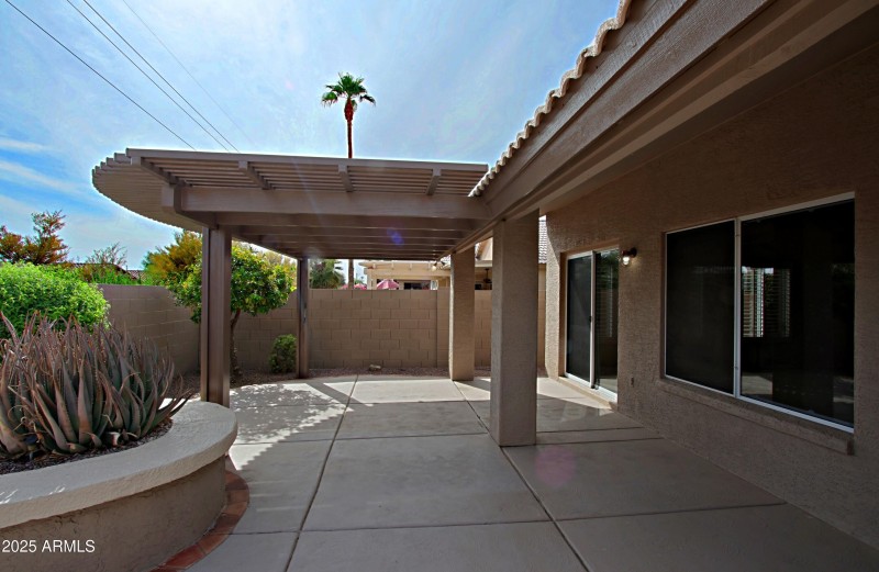 Backyard 4