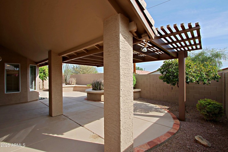 Backyard 5