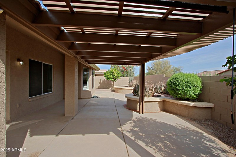 Backyard 6