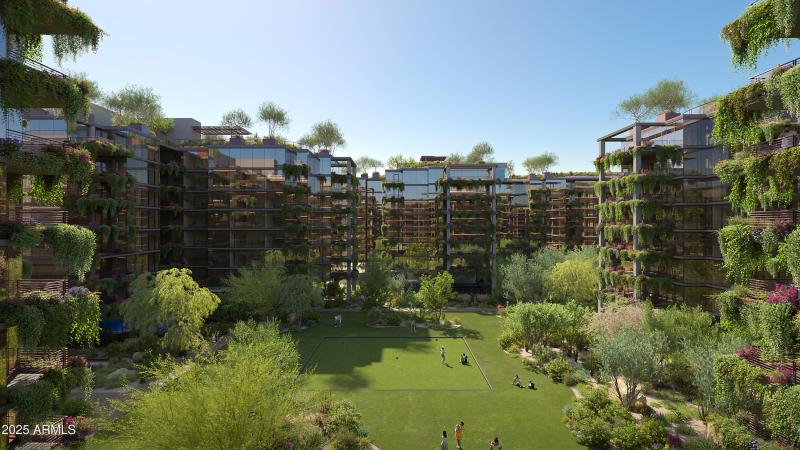 OMM Courtyard Wide