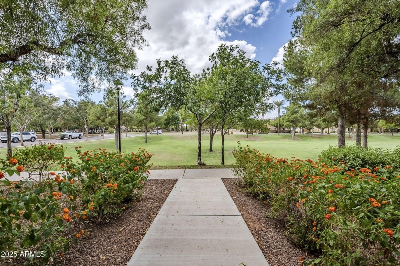 large-019963ae-adc4-72b2-b4e7-0669b92aed