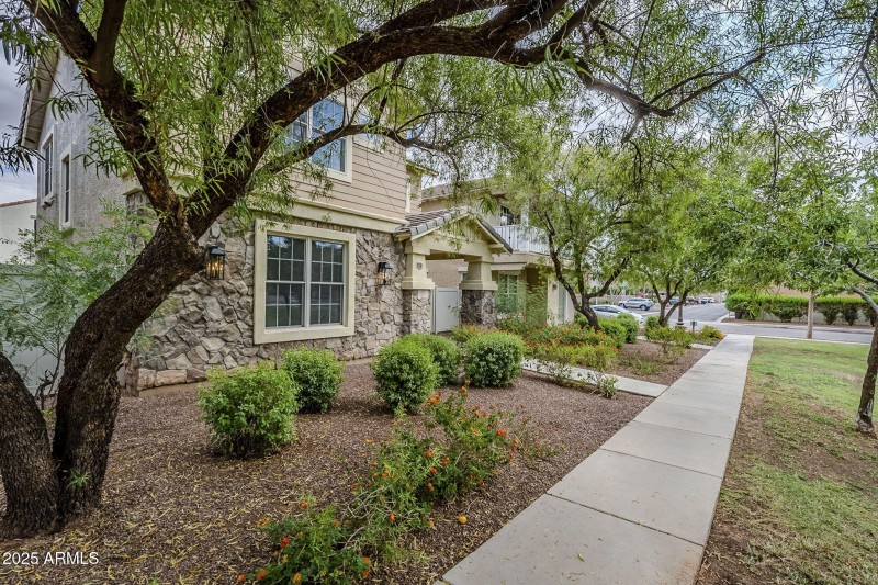 large-019963ae-ad51-7124-a349-3d2820f7f7