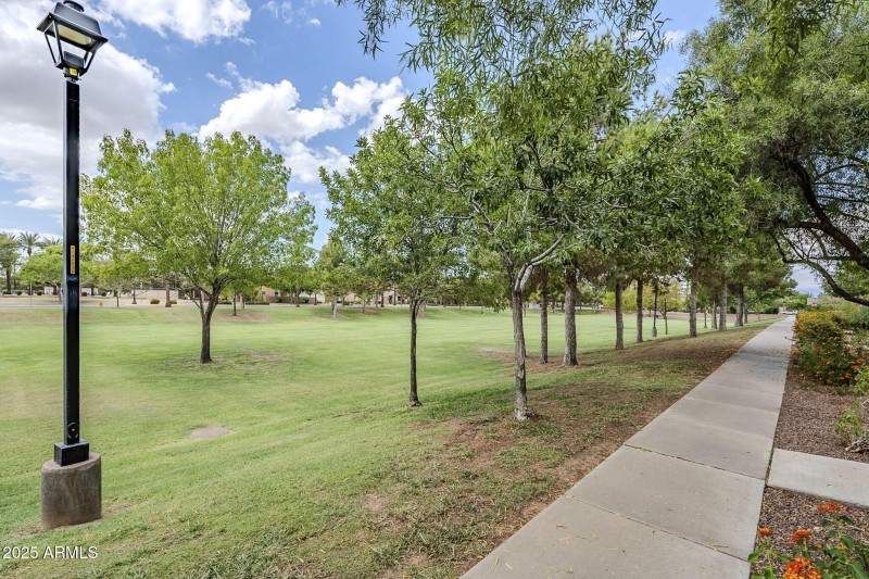 large-019963ae-ad18-7015-8025-5635c1dd3e