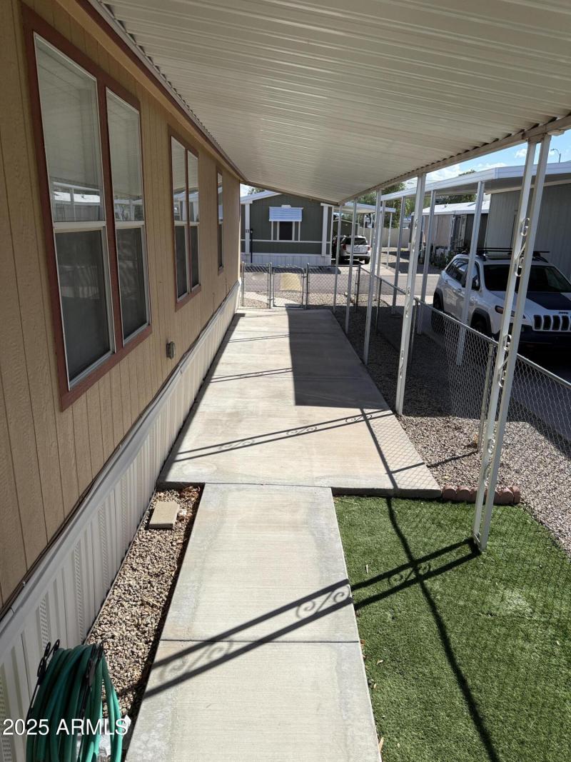 Side Yard