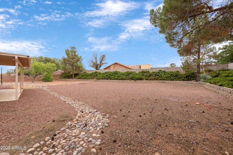 3 Backyard-4