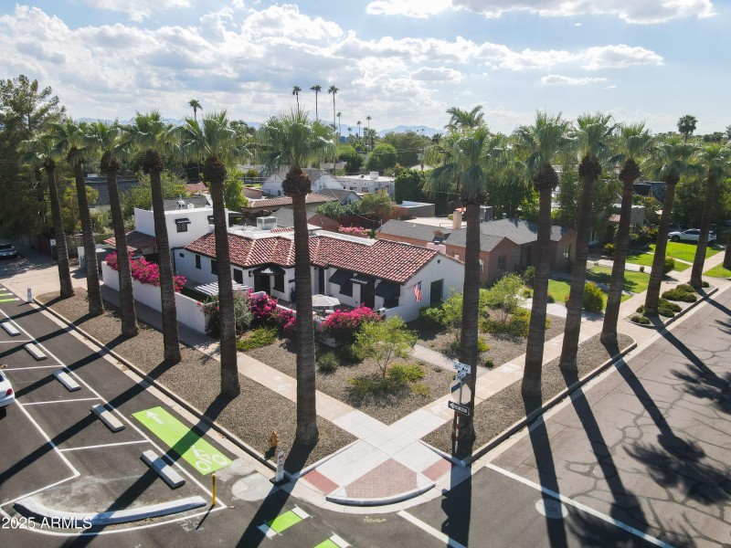 Iconic Palm Lane