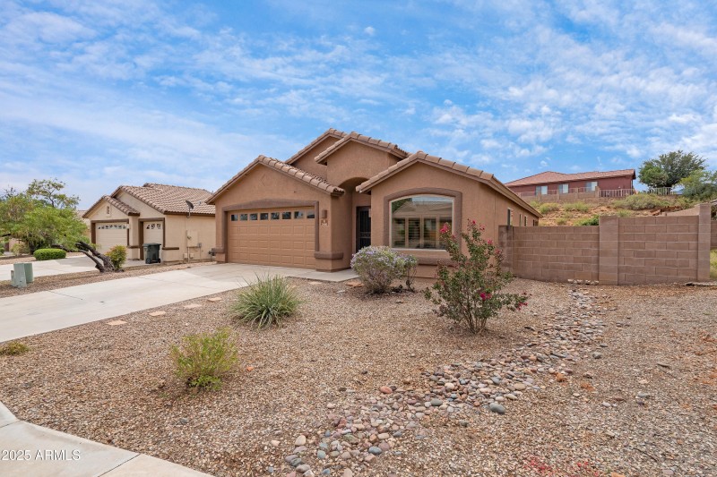 1 Front Yard-3