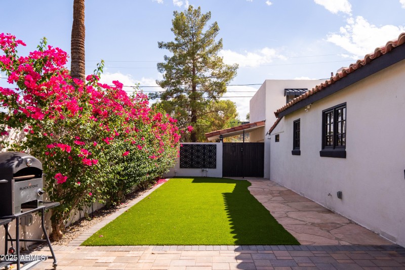 Beautiful Yard