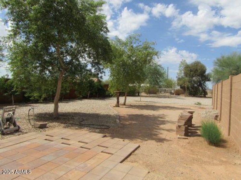 Back yard