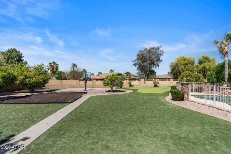 59-Back yard