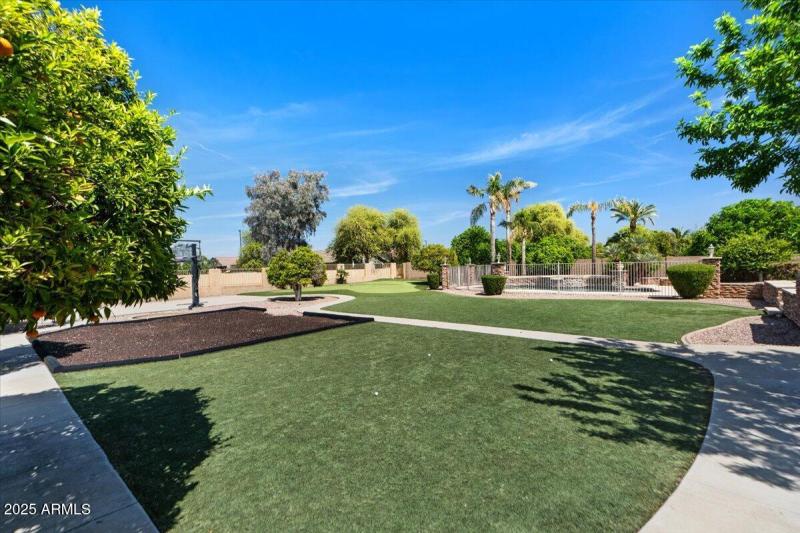 65-Back yard