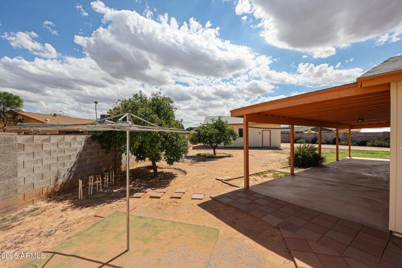 Backyard