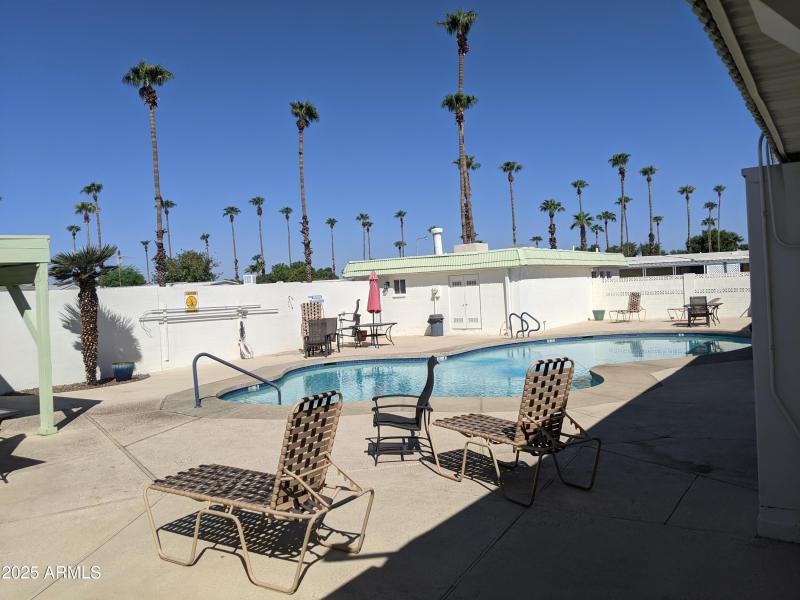 Palm Shadows Pool