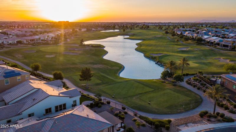 0088-88-Orange Blossom