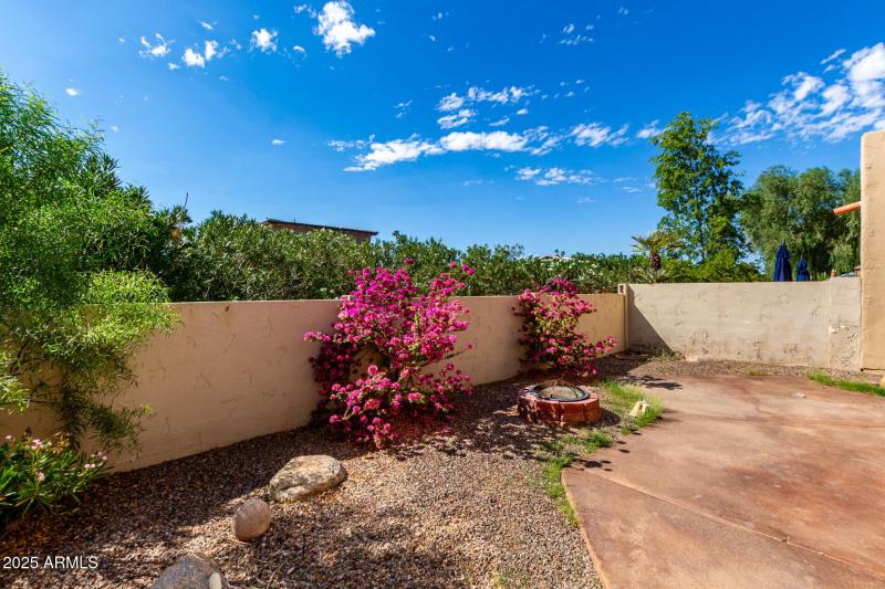 31 Chaparral