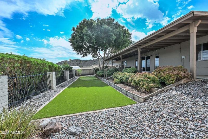 Backyard2