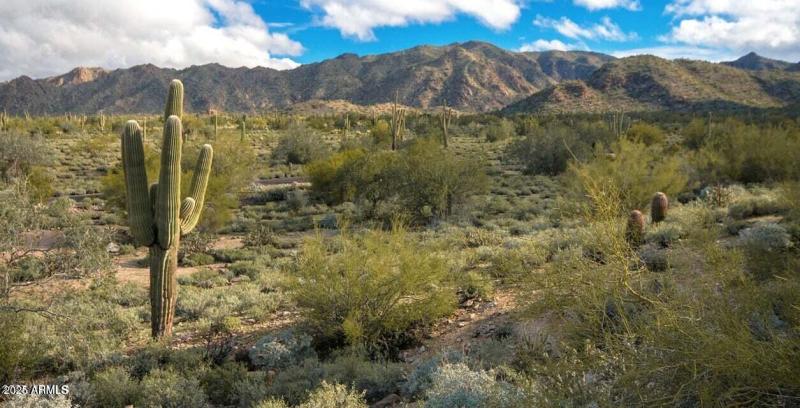 Desert MLS