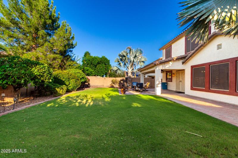 Backyard (real grass)