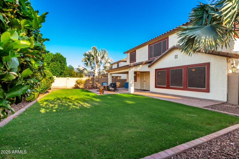 Backyard (real grass)