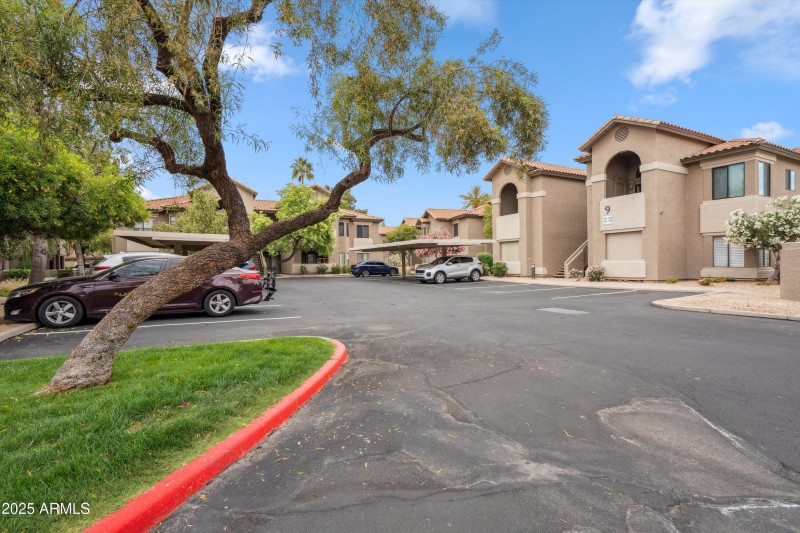 25-Desert Oasis Community