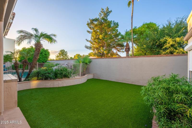 Back Yard
