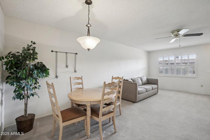Dining area/living room