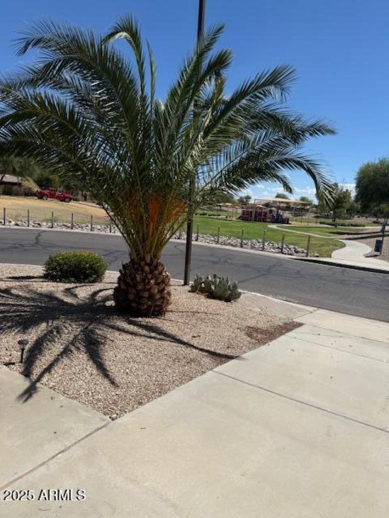 front yard next to park