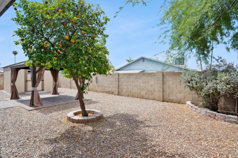 Gravel Backyard