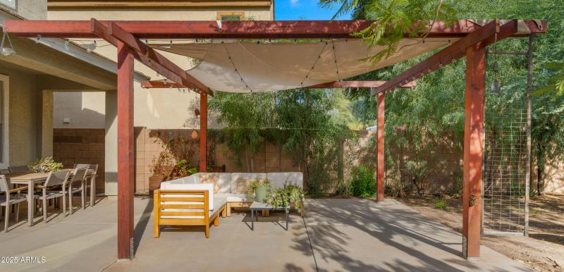 Backyard1