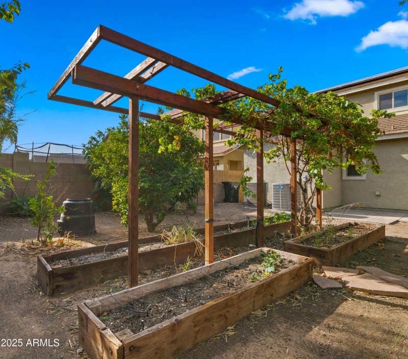 Backyard5