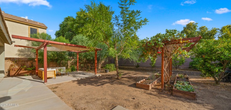 Backyard8