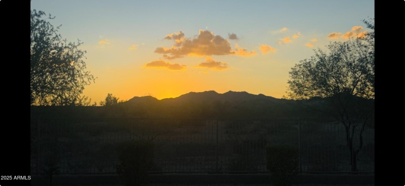 View recent photos