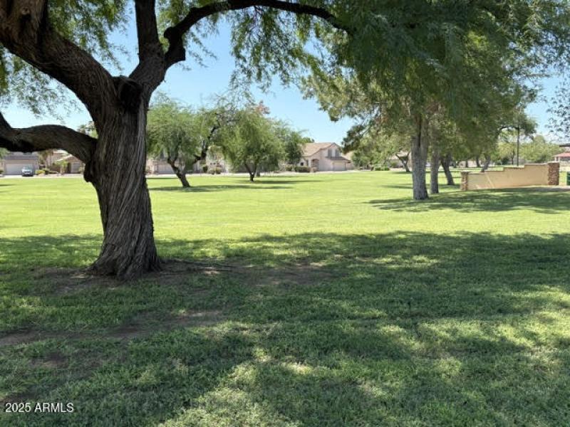 Community Park